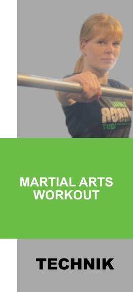 Martial Arts Workout