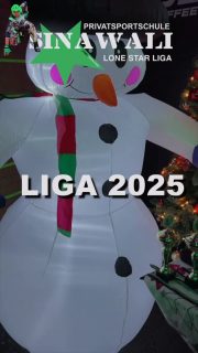 WIR WÜNSCHEN ALLEN EINE SCHÖNE ADVENTSZEIT UND FREUEN UNS AUF DIE LONE STAR LIGA 2026 🙏💚🎄. #kampfkunst #sportkarate #pointfight Kickboxen kungfu taekwondo bjj modernarnis stickfighting workout boxworkout fitness pilates trx faszientraining yoga physiosport gesundheit jugendsport bildung kampfsport tornesch kummerfeld rellingen uetersen stretching karate Selbstverteidigung zanshin boxen