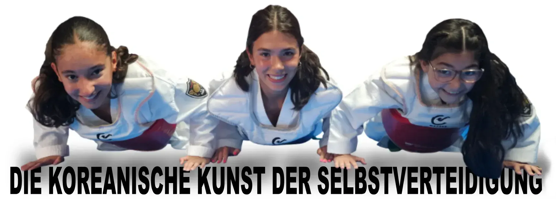 Die koreanische Kunst der Selbstverteidigung