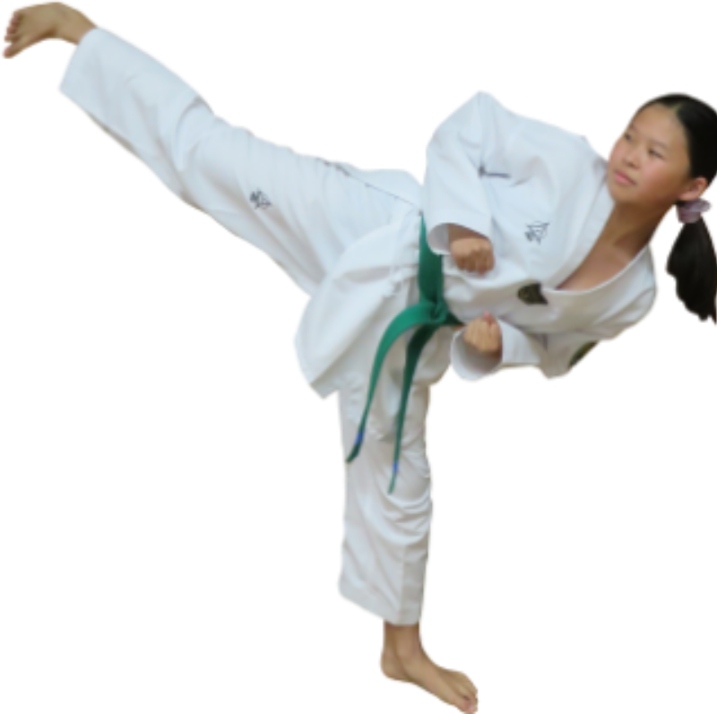 Taekwon Do - Training